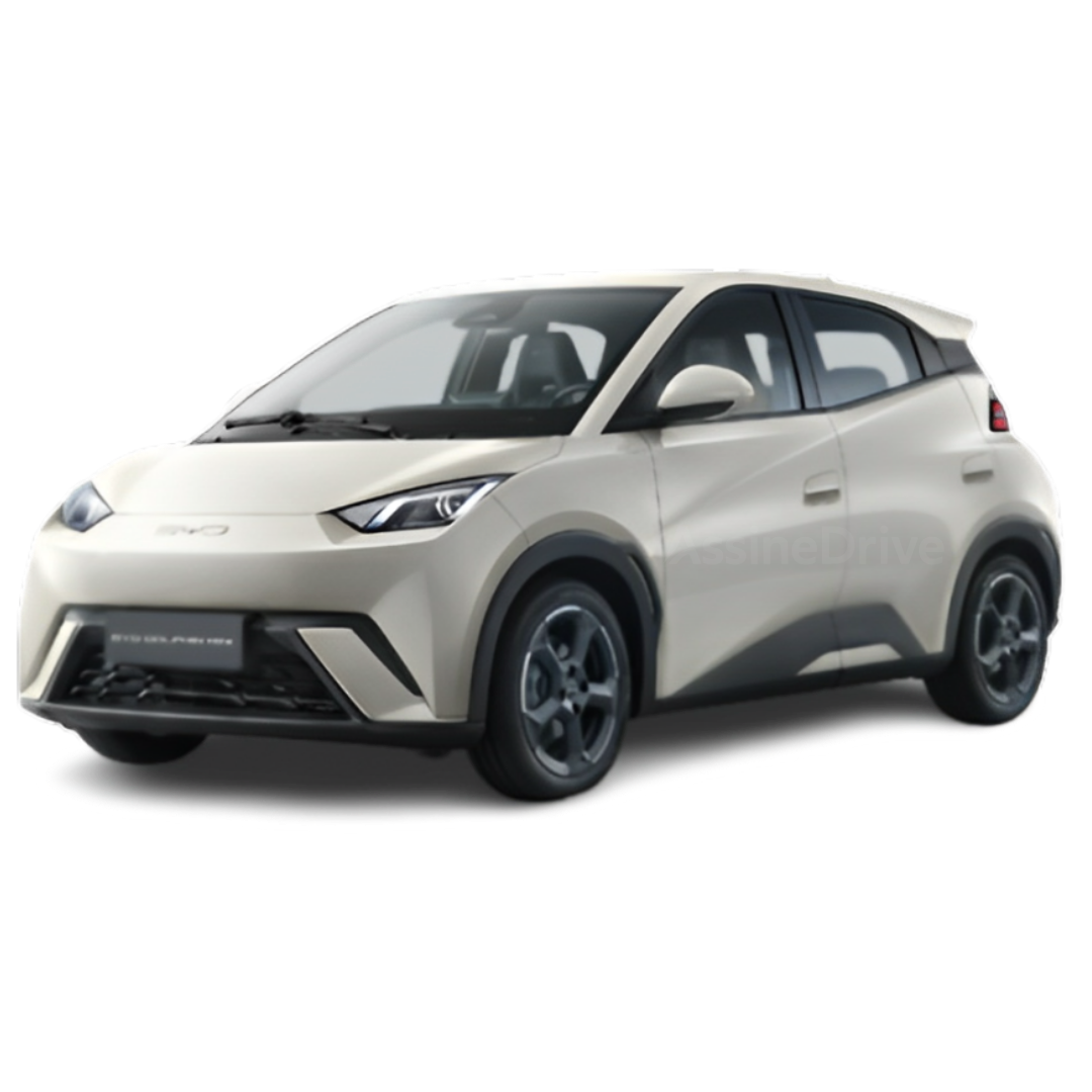 BYD Dolphin por assinatura