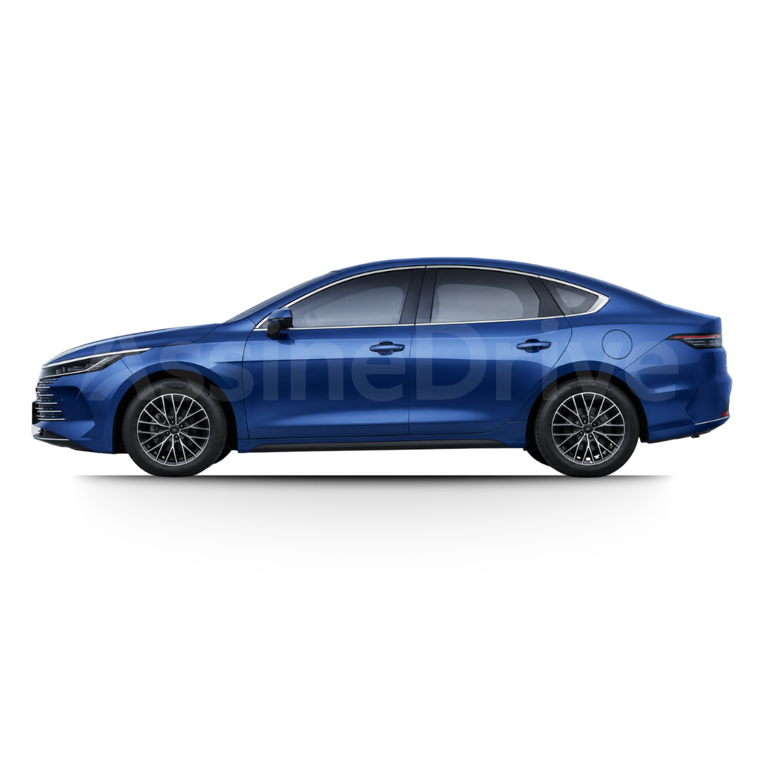 BYD King por assinatura