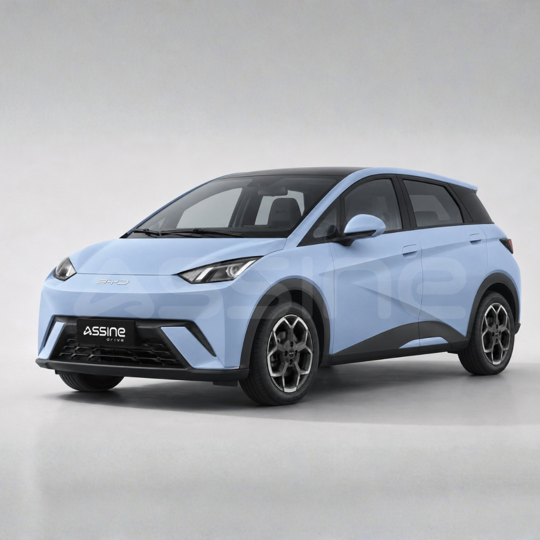 BYD BYD Dolphin Mini por assinatura