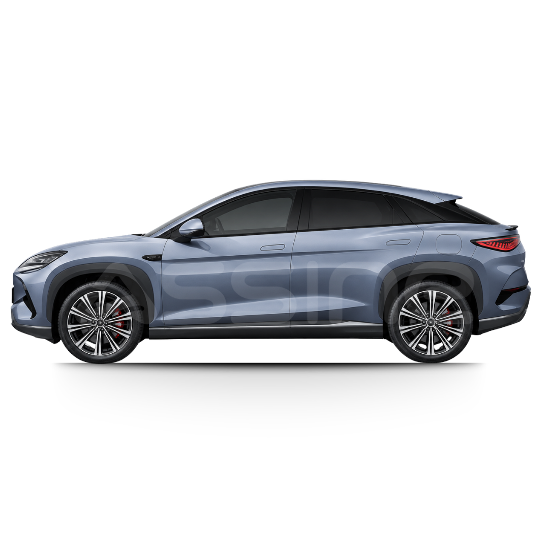 BYD BYD Sealion 7 por assinatura